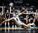Vollyball - Image 2